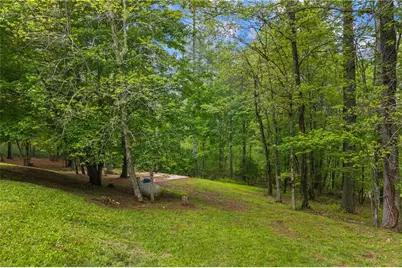 435 Dogwood Way, Blue Ridge, GA 30513 - Photo 59