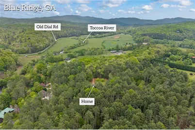 435 Dogwood Way, Blue Ridge, GA 30513 - Photo 67