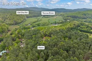 435 Dogwood Way, Blue Ridge, GA 30513 - Photo 67