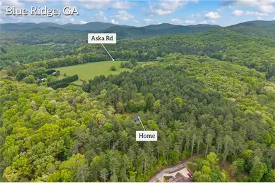 435 Dogwood Way, Blue Ridge, GA 30513 - Photo 71
