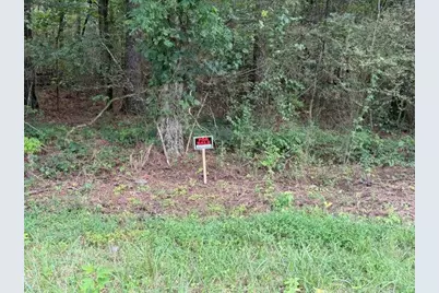 0 Iron Hill Road Lot 4, Taylorsville, GA 30178 - Photo 1