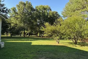 476 Berry Rd, Cedartown, GA 30125 - Photo 17