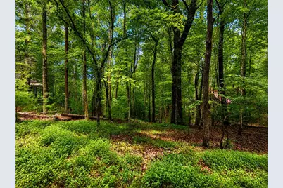 J208 Pine Ridge Road, Ellijay, GA 30536 - Photo 7