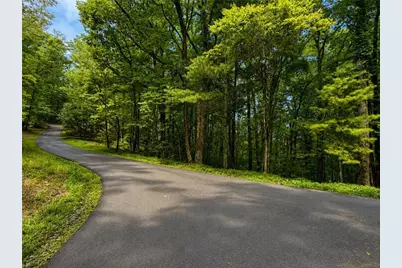 J208 Pine Ridge Road, Ellijay, GA 30536 - Photo 5