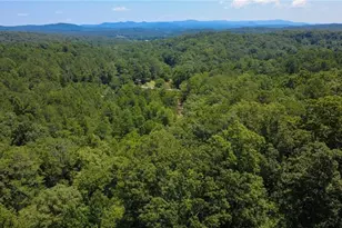 268 Creek Bank Dr, Talking Rock, GA 30175 - Photo 43