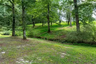 1131 Ednaville Rd, Braselton, GA 30517 - Photo 53