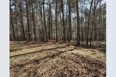 12425 Panhandle Road, Hampton, GA 30228 - Photo 3