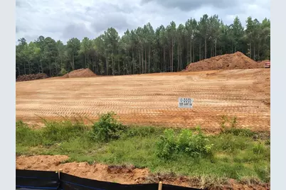1028 Queens Bridge Way, Griffin, GA 30223 - Photo 3