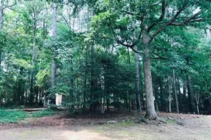 622 Shady Willow Ln, Loganville, GA 30052 - Photo 29