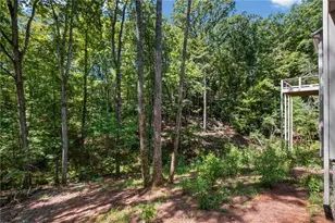 56 Black Bear Point, Big Canoe, GA 30143 - Photo 45