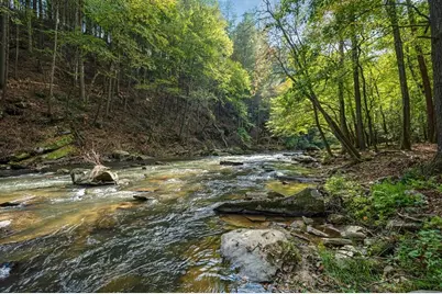 325 Whitewater Falls Trail, Ellijay, GA 30540 - Photo 7