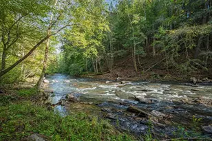 325 White Water Fls Trl, Ellijay, GA 30540 - Photo 59