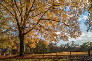 20 Sweetwood Ct, Roswell, GA 30076 - Photo 75
