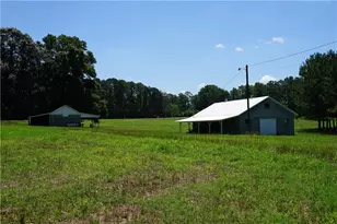 744 Welcome To Sargent Rd, Newnan, GA 30263 - Photo 9