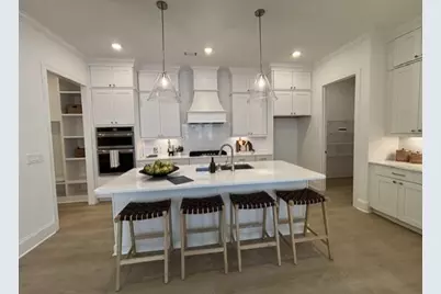 233 Legacy Downs Drive, Canton, GA 30115 - Photo 3