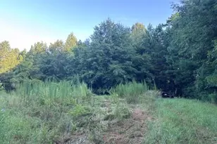 1069 Harbert Valley Rd, Toccoa, GA 30577 - Photo 5