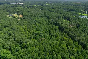 280 Etheridge Rd, Auburn, GA 30011 - Photo 75