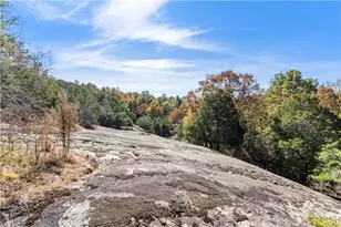 7790 Atlanta Newnan Rd, Chattahoochee Hills, GA 30268 - Photo 23