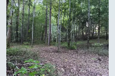 944 Muscovy Lane, Winder, GA 30680 - Photo 5