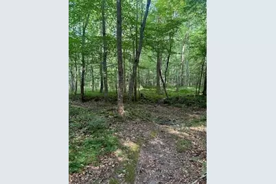 1036 Creighton Road, Ball Ground, GA 30107 - Photo 47