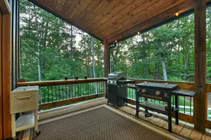 270 Wild Oaks Wy, Ellijay, GA 30540 - Photo 19