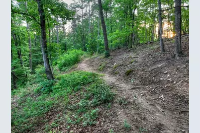 270 Wild Oaks Way, Ellijay, GA 30540 - Photo 45