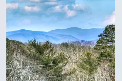 171 Mohawk Trail, Ellijay, GA 30540 - Photo 5