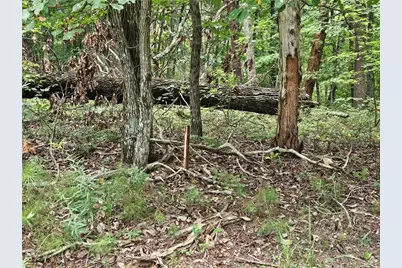 1467 Hanna Drive, Ranger, GA 30734 - Photo 5
