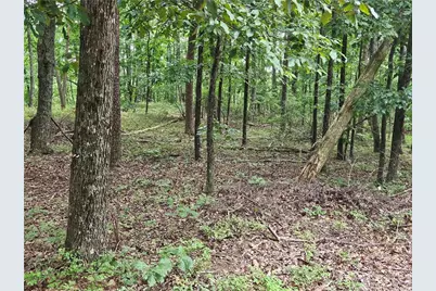 1467 Hanna Drive, Ranger, GA 30734 - Photo 1