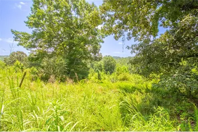 Lot A Porter Springs Road, Dahlonega, GA 30533 - Photo 13