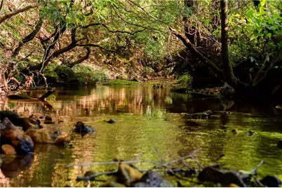 Lot A Porter Springs Road, Dahlonega, GA 30533 - Photo 37