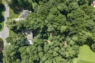 910 Freemanwood Ln, Milton, GA 30004 - Photo 37
