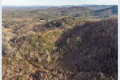 156+ Higdon Creek Road, Blue Ridge, GA 30513 - Photo 3