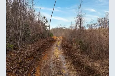 156+ Higdon Creek Road, Blue Ridge, GA 30513 - Photo 11