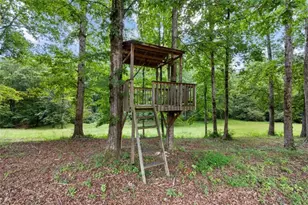 598 Elliott Rd, McDonough, GA 30252 - Photo 71