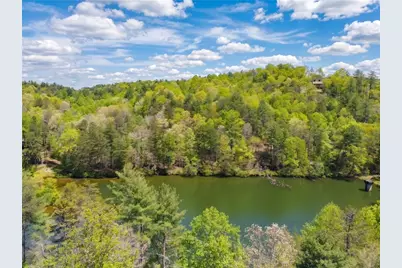 245 Bear Paw Trail, Blue Ridge, GA 30513 - Photo 3