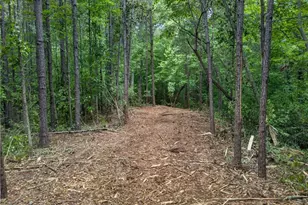 3512 Vinson Mountain Rd, Rockmart, GA 30153 - Photo 53