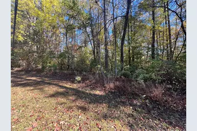 10494 Ball Ground Highway, Ball Ground, GA 30107 - Photo 7