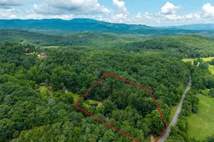1824 Colwell Rd, Blue Ridge, GA 30513 - Photo 23