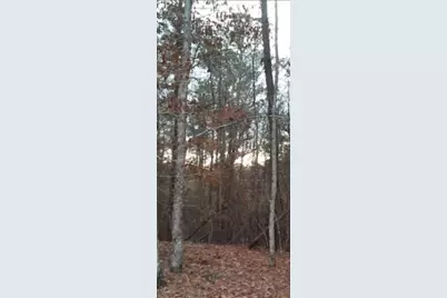 2771 Carey Station Rd Street, Greensboro, GA 30043 - Photo 5
