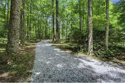 1351 Minix Road, Sharpsburg, GA 30277 - Photo 35