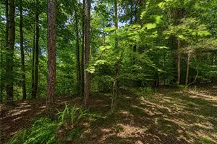 1652 Sable Ct, Talking Rock, GA 30175 - Photo 1