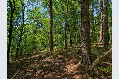 1652 Sable Court, Talking Rock, GA 30175 - Photo 11