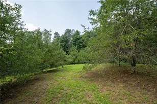 464 Poole Rd, Ball Ground, GA 30107 - Photo 55