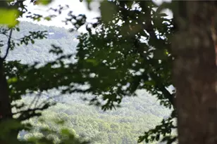 8261 Cox Mountain Dr, Big Canoe, GA 30143 - Photo 1