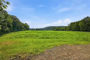 379 Bozeman Road NW, White, GA 30184 - Photo 39