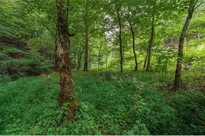 0 Hobgood Road, Rydal, GA 30171 - Photo 3