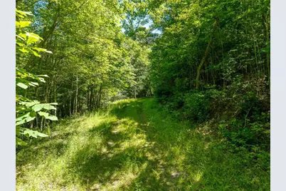 46 Green Kirby Lane, Blue Ridge, GA 30513 - Photo 23