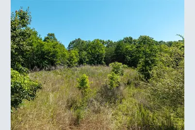 46 Green Kirby Lane, Blue Ridge, GA 30513 - Photo 11