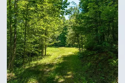 46 Green Kirby Lane, Blue Ridge, GA 30513 - Photo 21